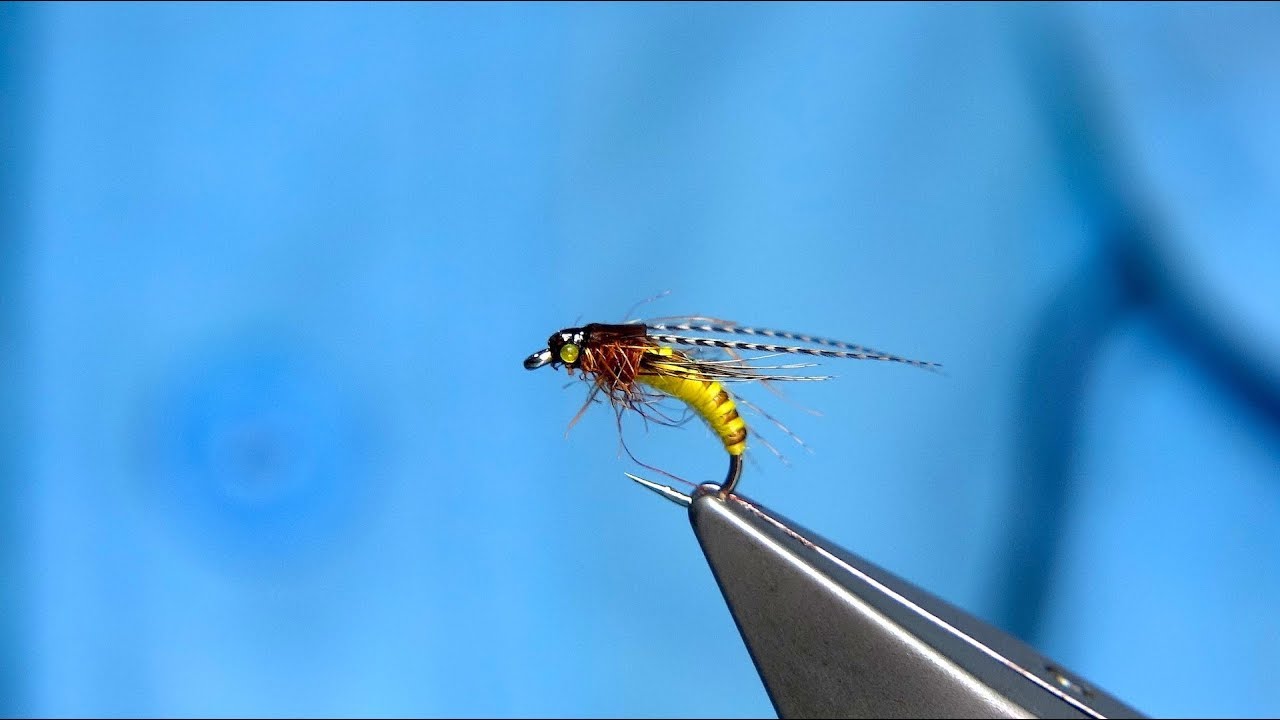 Tying the McPhail Caddis Pupa by Davie McPhail