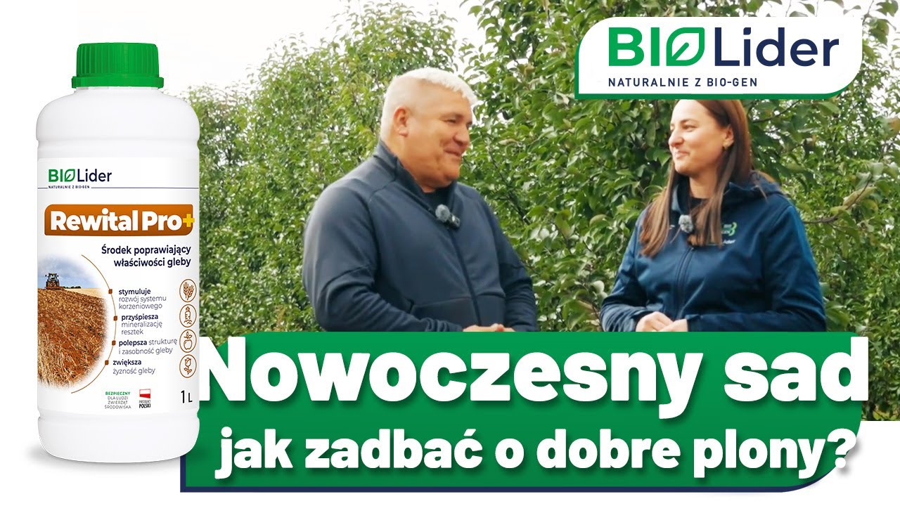 Sad jabłoniowy po zbiorach - zaczynamy starania o przyszłoroczne plony