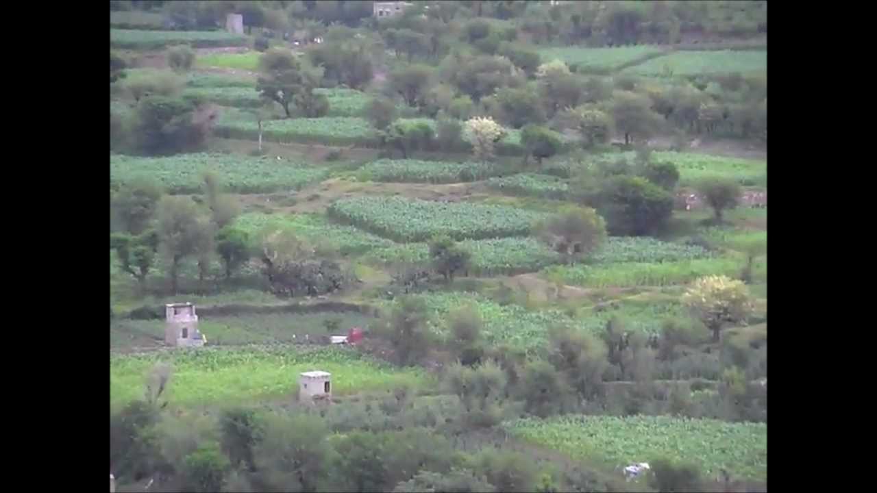 احمــــــــد المعـــطري 