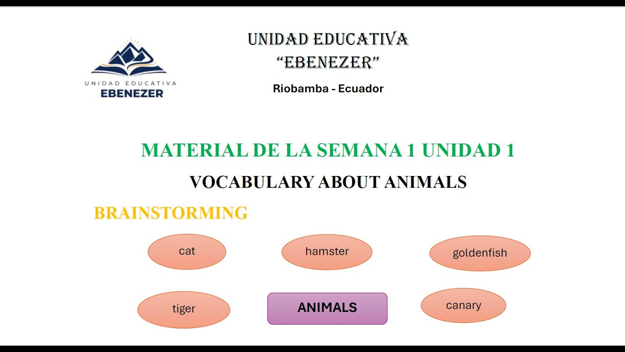 CLASE DE INGLÉS SEGUNDO 