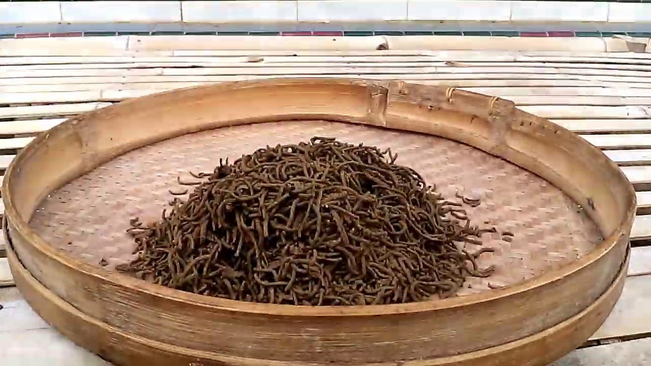 membuat pakan ikan apung tanpa mesin extruder