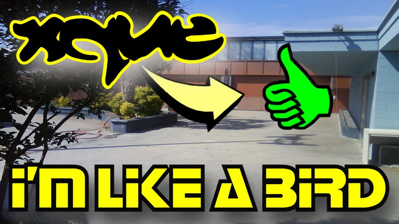 ▶ I'm Like a Bird 🔥 [ Imágenes del Interior del XQUÈ ] 🚷 NO APTO Para Nostálgicos