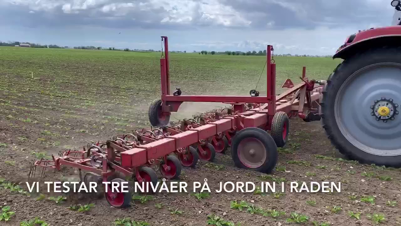 Praktikfall 2020, 89 ha på Söderslätt - Radrensning
