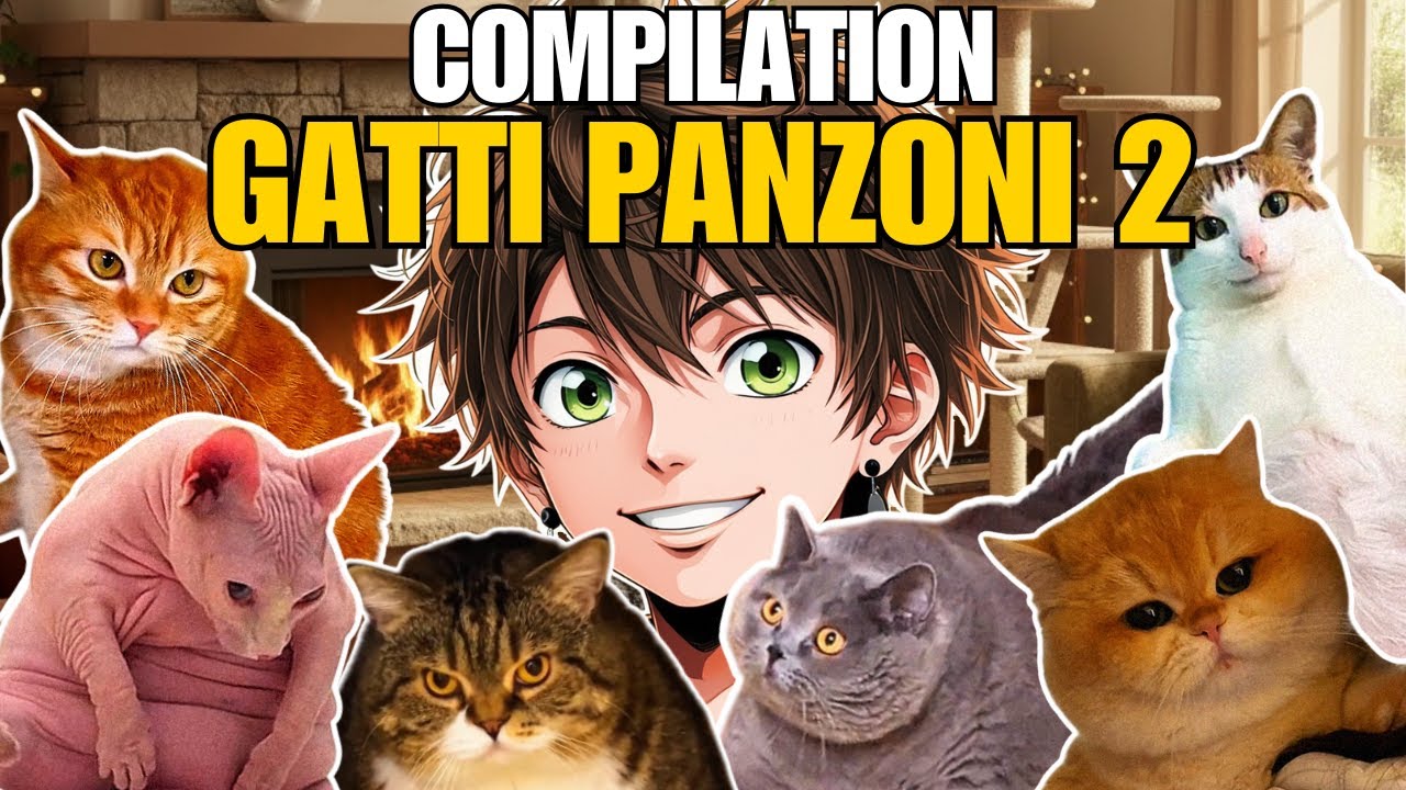 🎙️ Compilation GATTI PANZONI 2 🐱