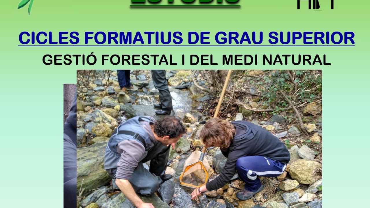 Com és l'INS Horticultura i Jardineria de Reus