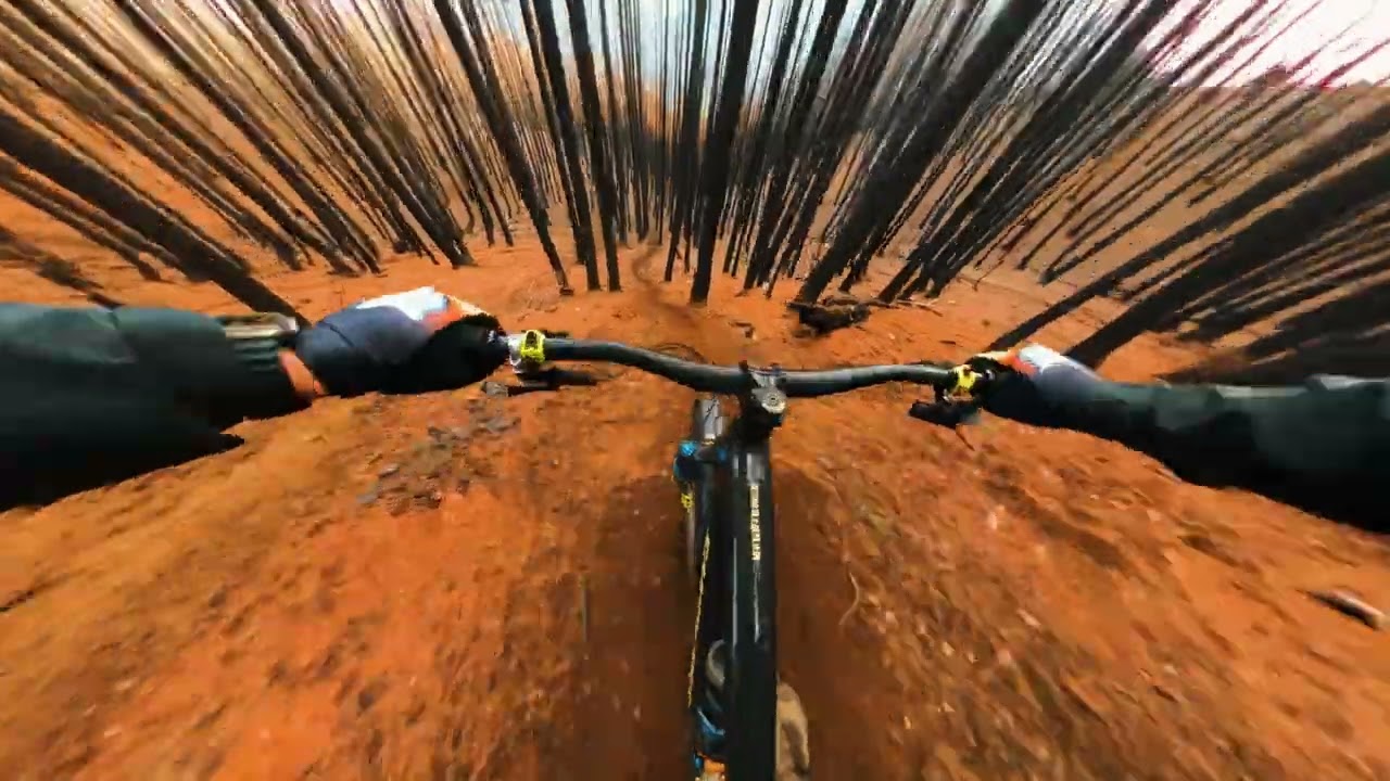 Best Of 2023 GoPro With Alexandre Chapellier aka @the_frenchliner