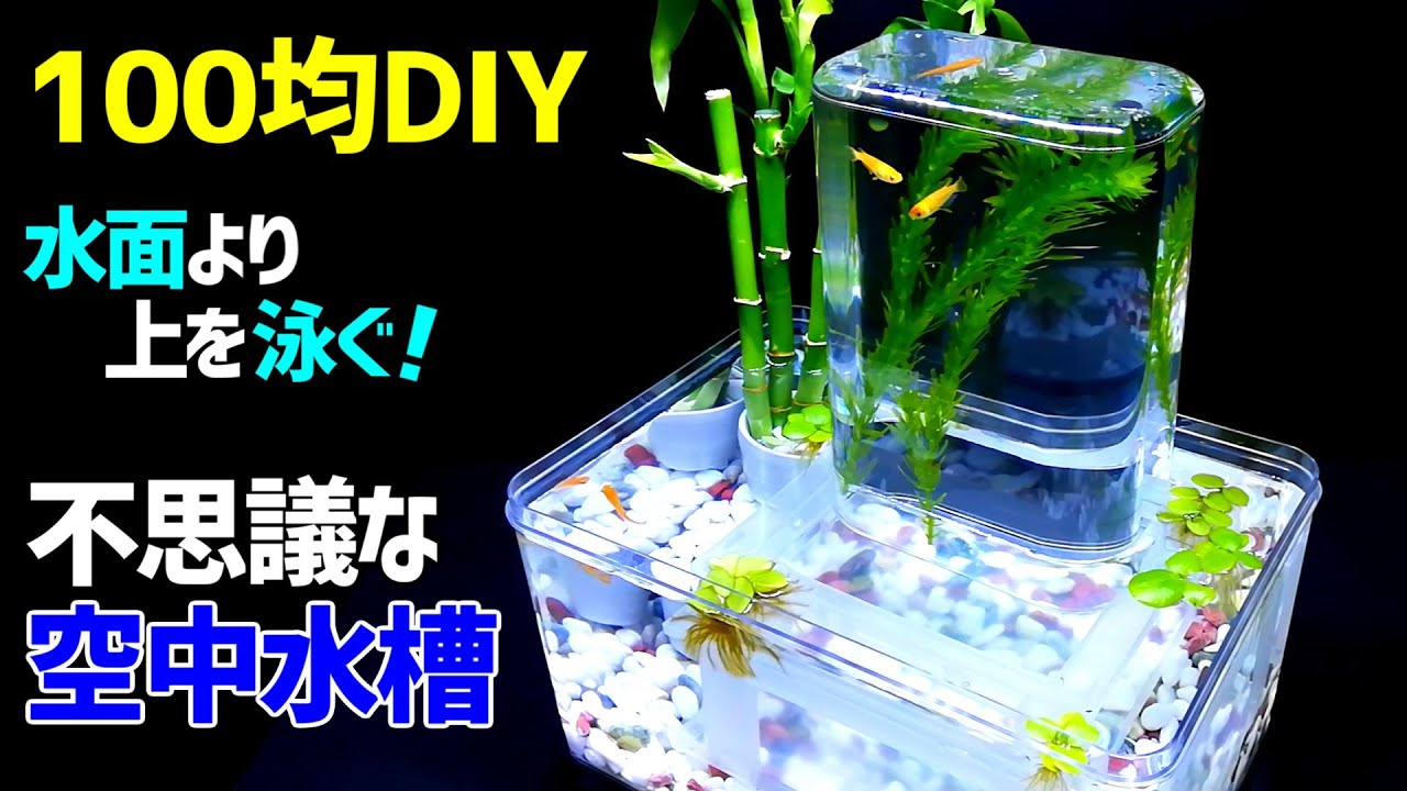 不思議なメダカの【空中水槽】作り方/100均DIY /自由研究 /ビオトープ/アートアクアリウム/How to Make Amazing Idea Aquarium