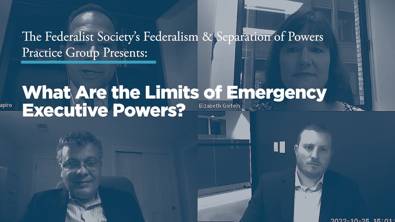 What Are the Limits of Emergency Executive Powers?