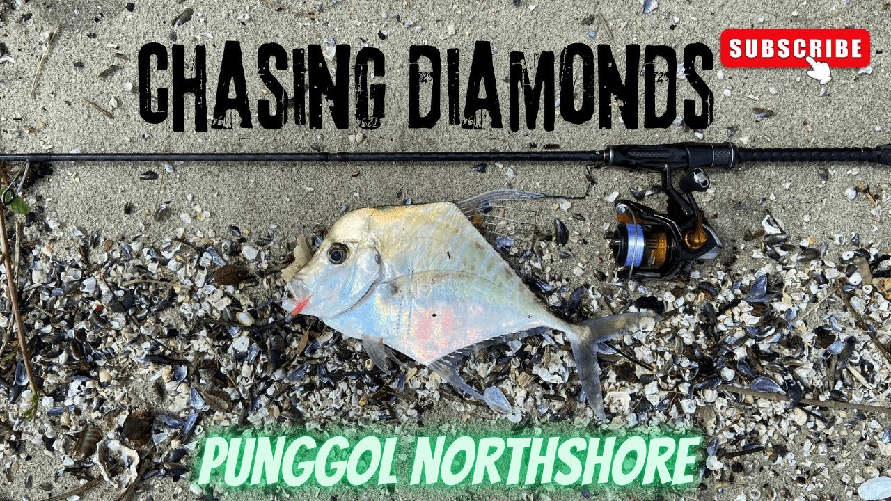 Episode 16: Diamond Trevally Hunt! Shimano Soare BB Put to the Test! | Punggol | Singapore Fishing