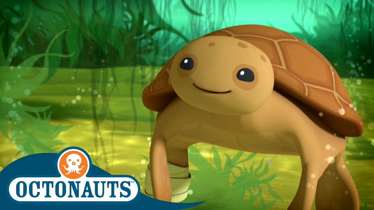 @Octonauts - The Loggerhead Sea Turtle 🐢 | World Turtle Day | Full Episodes | Cartoons for Kids