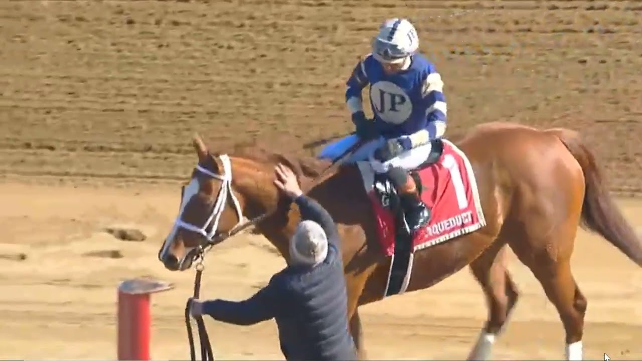RACE 2- AQUEDUCT