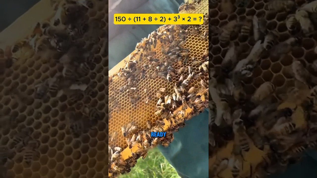 #анимационный ролик