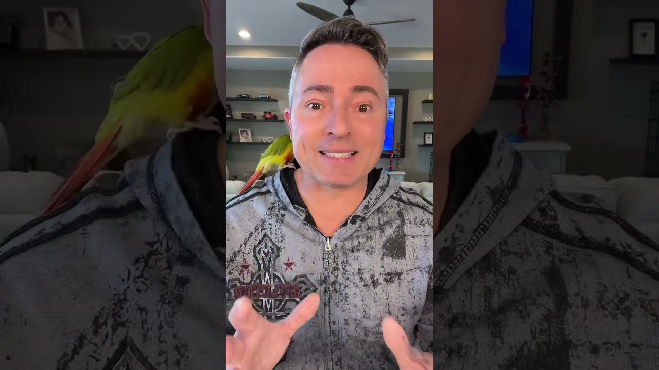 Pepe Aguilar vs Zorrito Youtubero!