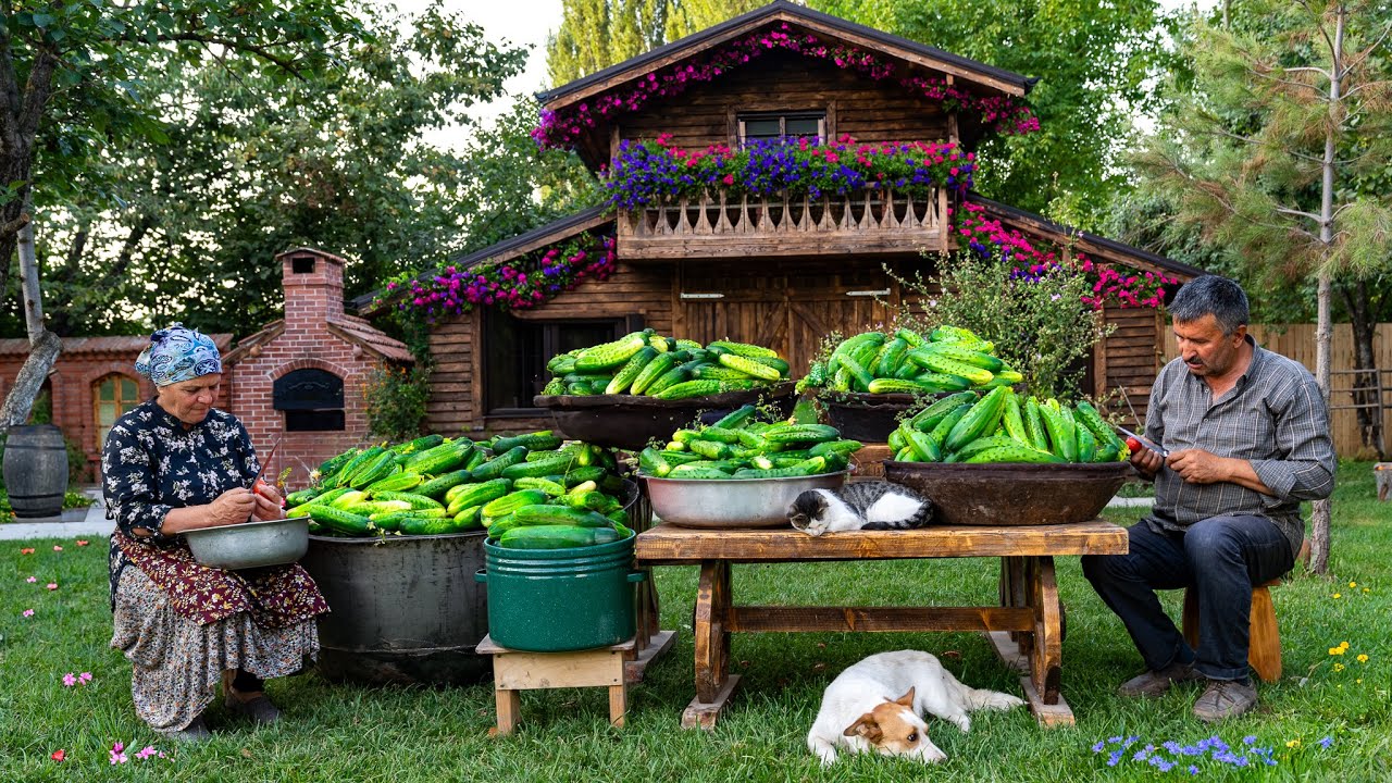60 Дней Упорного Труда: Огурцы – от Семян до Урожая
