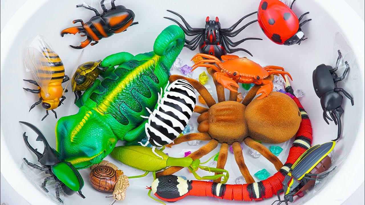 ZURU ROBO ALIVE COLLECTION | UNBOXING Robo Chameleon, Robo Tarantula Spider & Insect Review ASMR