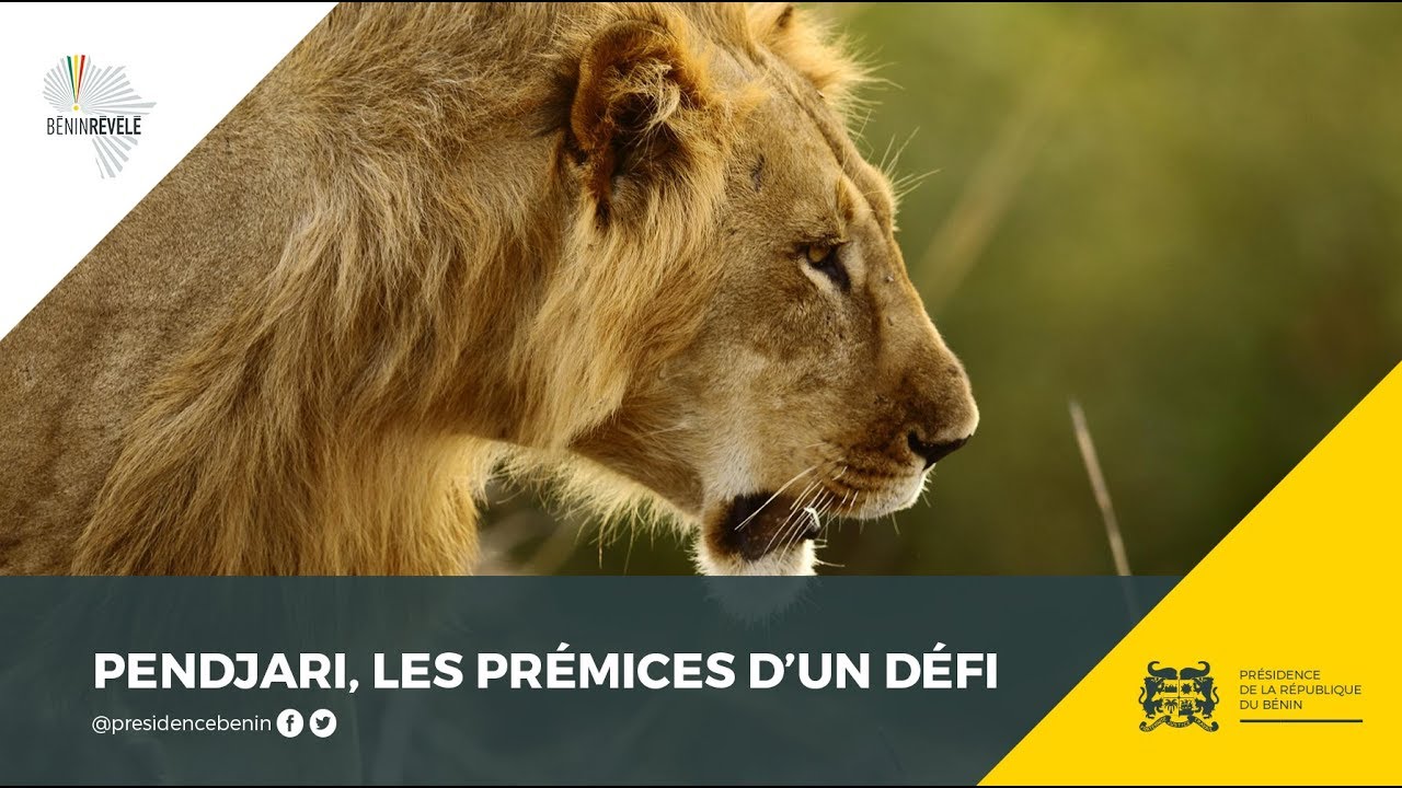 Documentaire : Pendjari, les prémices d'un défi.