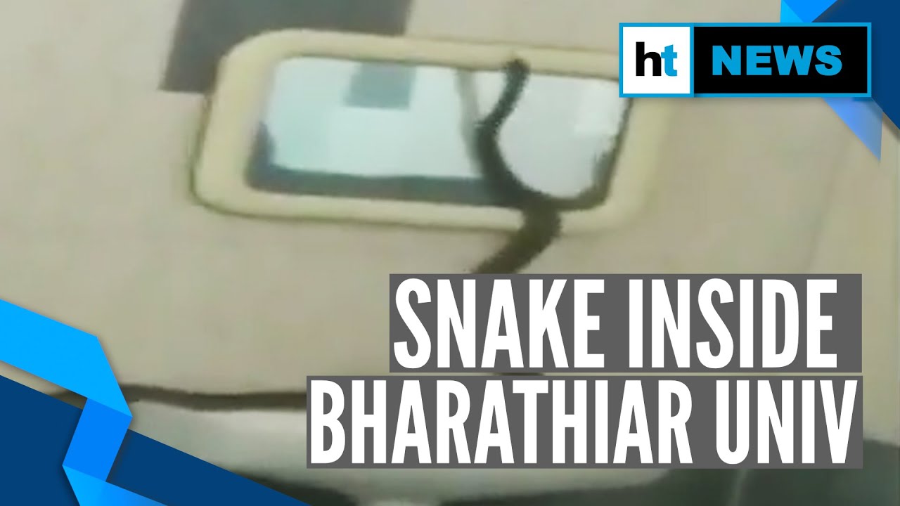 Watch: Snake found in Coimbatore's Bharathiar University campus, causes panic