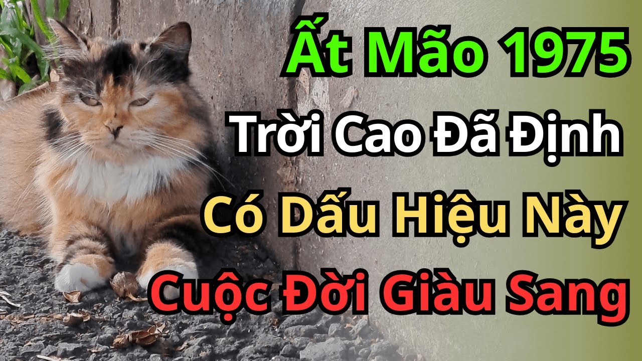 Ất Mão 1975: Nếu Có 10 Dấu Hiệu Này, Bạn Chính Là 