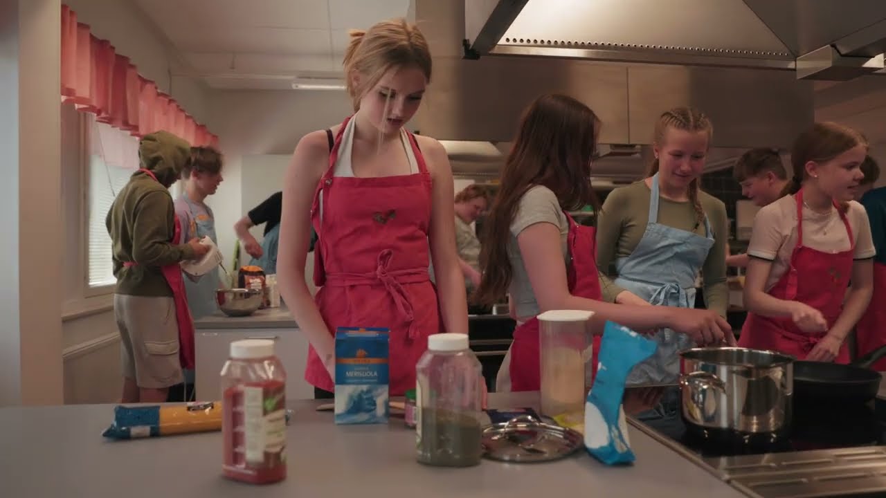 Experience Kannisto Domestic Animal Farm & Puistokatu School, Loimaa