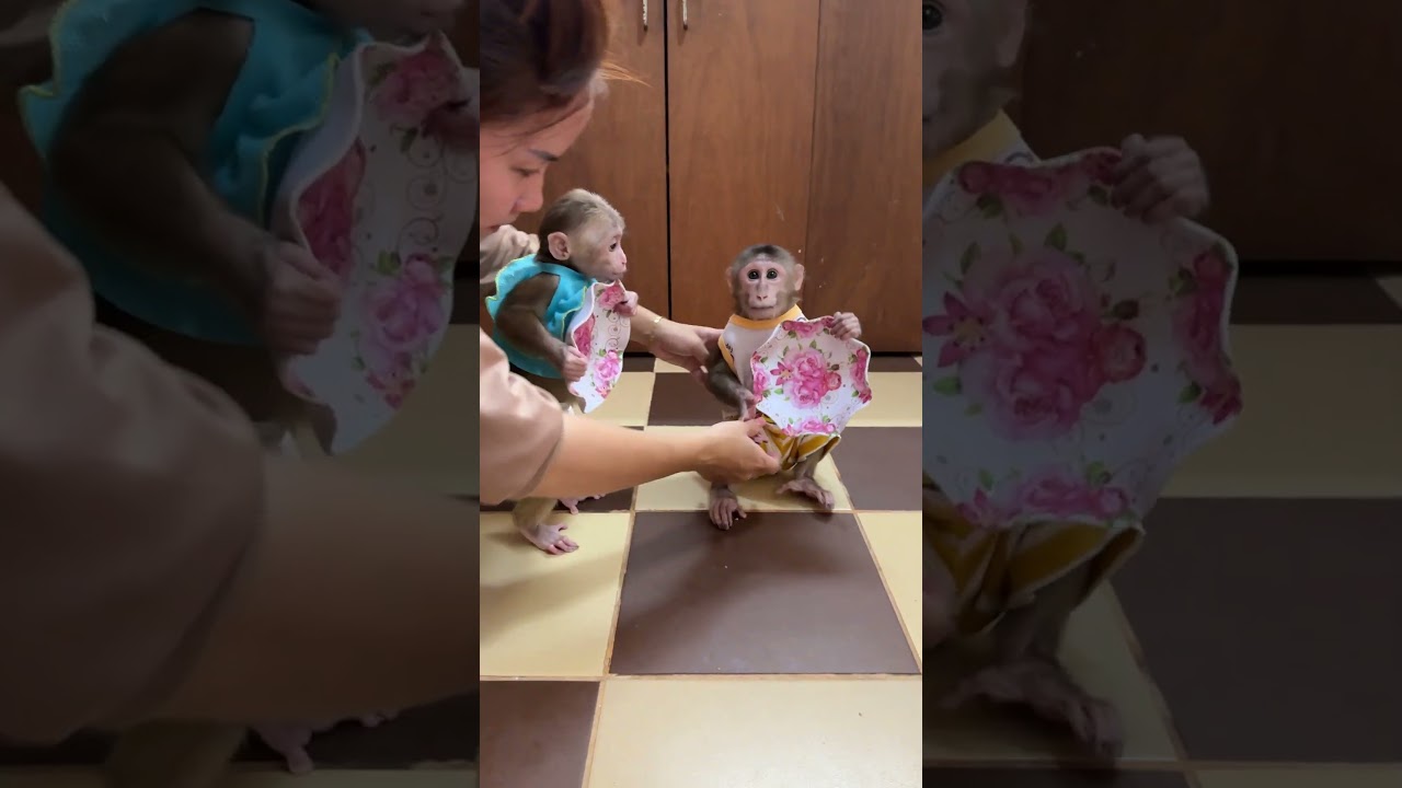 Really Strong Bro Pavpav & Little Girl Chichi they is walking into the room