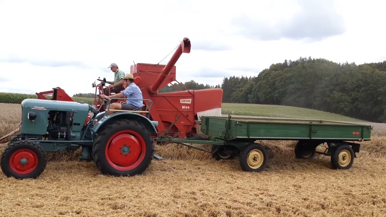 Oldtimerdreschen - Ernte mit Fahr und Eicher #dreschen #fahr #eicher