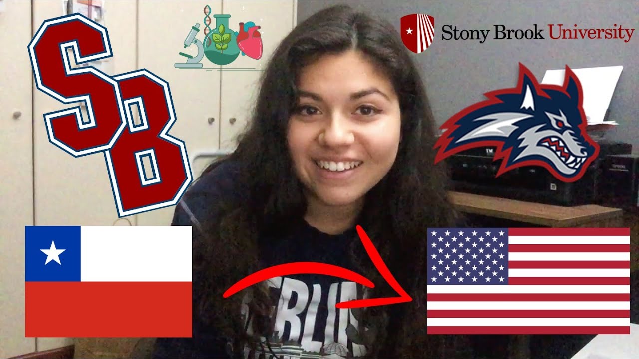¡Me voy a estudiar a New York! [introducción y proceso]
