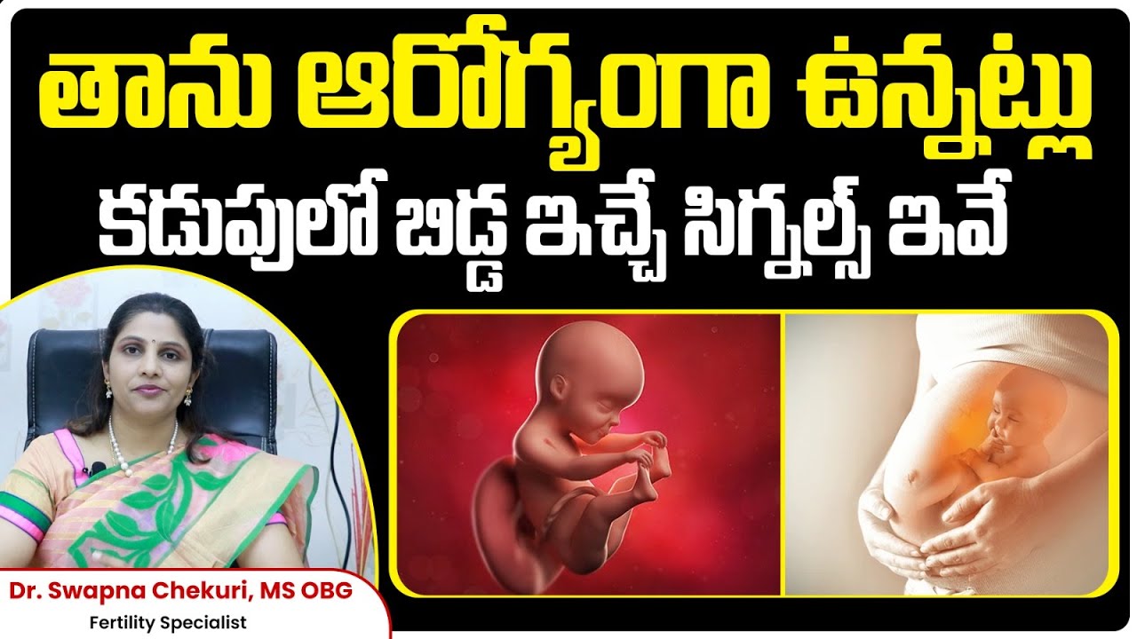 కడుపులో బిడ్డ ఆరోగ్యంగా ఉన్నట్లు తెలిపే 10 సంకేతాలు | Healthy Pregnancy Symptoms | HFC