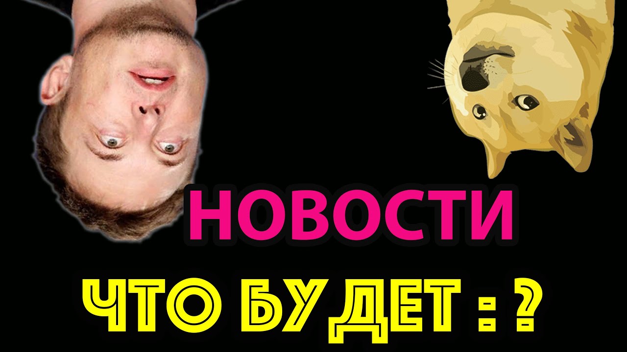 ДОГИ КОИН ИЛОН МАСК  dogecoin как купить doge коин dogecoin 2021 dogecoin обзор
