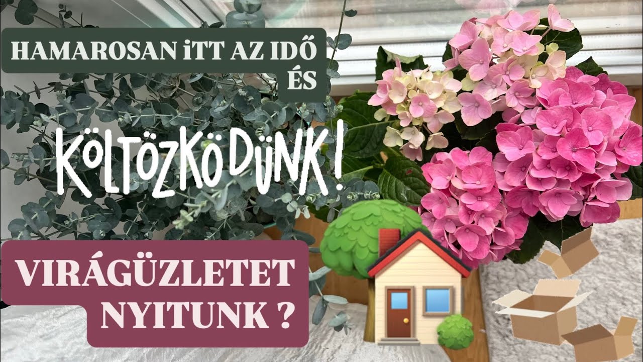 NAGY BÚTORVÁSÁRLÁS A FACEBOOK MARKETPLACE RÖL ÖSERDÖ A NAPPALIBAN   #magyaryoutuber #svedorszag
