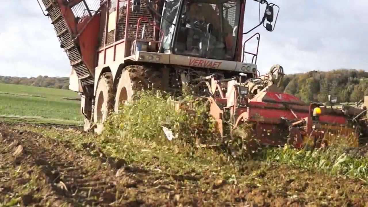 Vervaet Beet Eater 625 dans l'Aisne