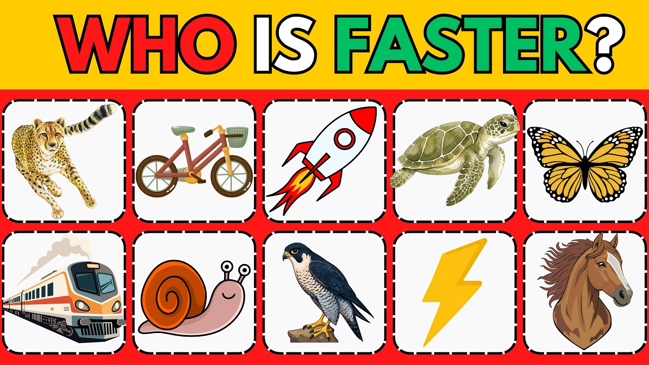 Which One Is Faster or Slower 🧠 Fun Kids Quiz Challenge