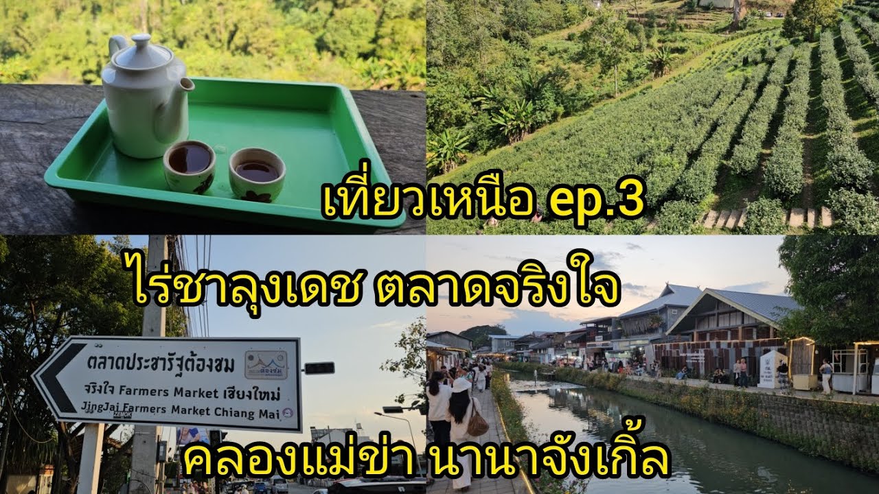 เที่ยวเหนือ ep.3 ไร่ชาลุงเดช ตลาดจริงใจ คลองแม่ข่า นานาจังเกิ้ล