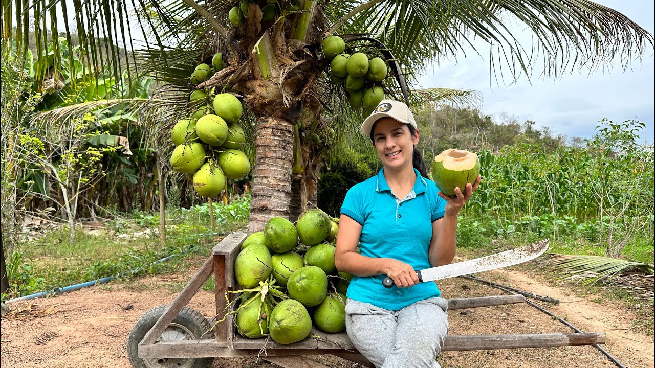 Venha ver a quantidade de coisas incríveis que dá para fazer com COCO VERDE