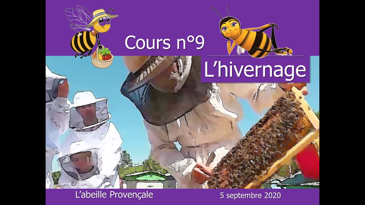Préparation et mise en hivernage des colonies d'abeilles - lutte contre le varroa