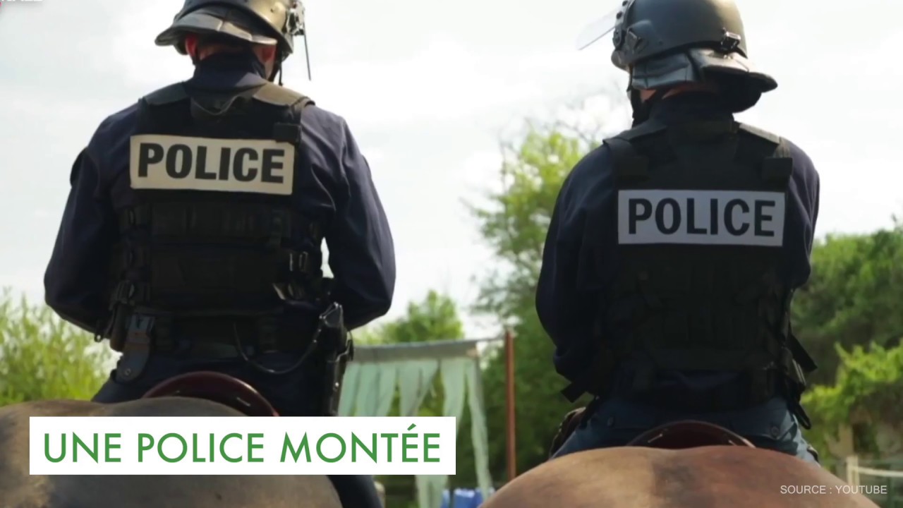 GRENOBLE, UNE VILLE A SECURISER : LES PROPOSITIONS D'ALAIN CARIGNON