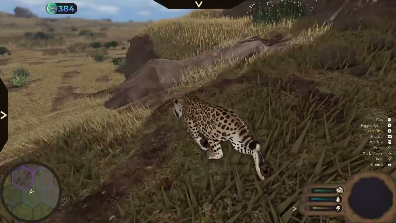 Western Horse Hunt 