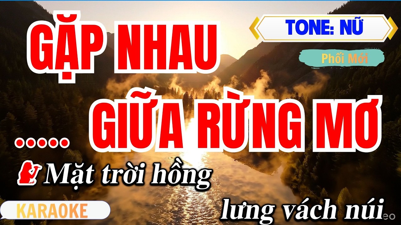 GẶP NHAU GIỮA RỪNG MƠ Karaoke Tone Nữ | Nhịp Rõ Dễ Hát | Vĩ Nguyễn Beat