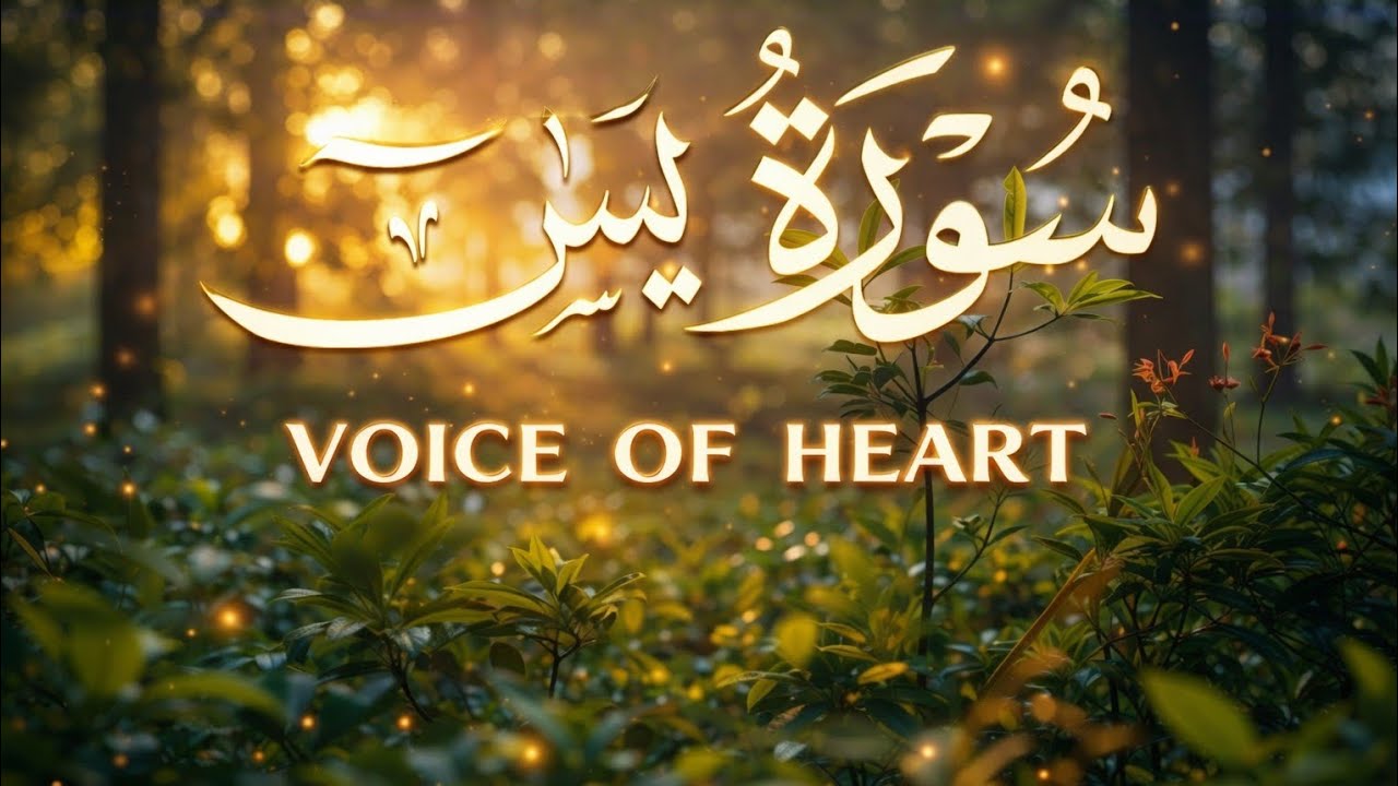 Surah Yaseen | سورة يس | سكون القلب Sukoon-e-Dil | Beautiful Recitation