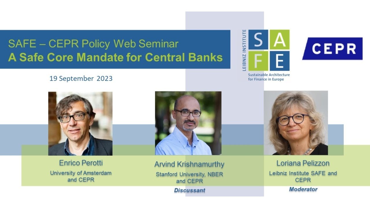 SAFE-CEPR Policy Web Seminar: Enrico Perotti (University of Amsterdam)