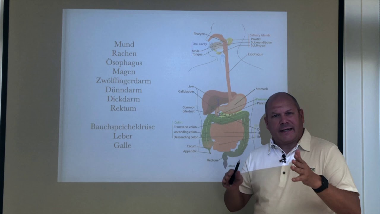 Verdauungstrakt Anatomie I