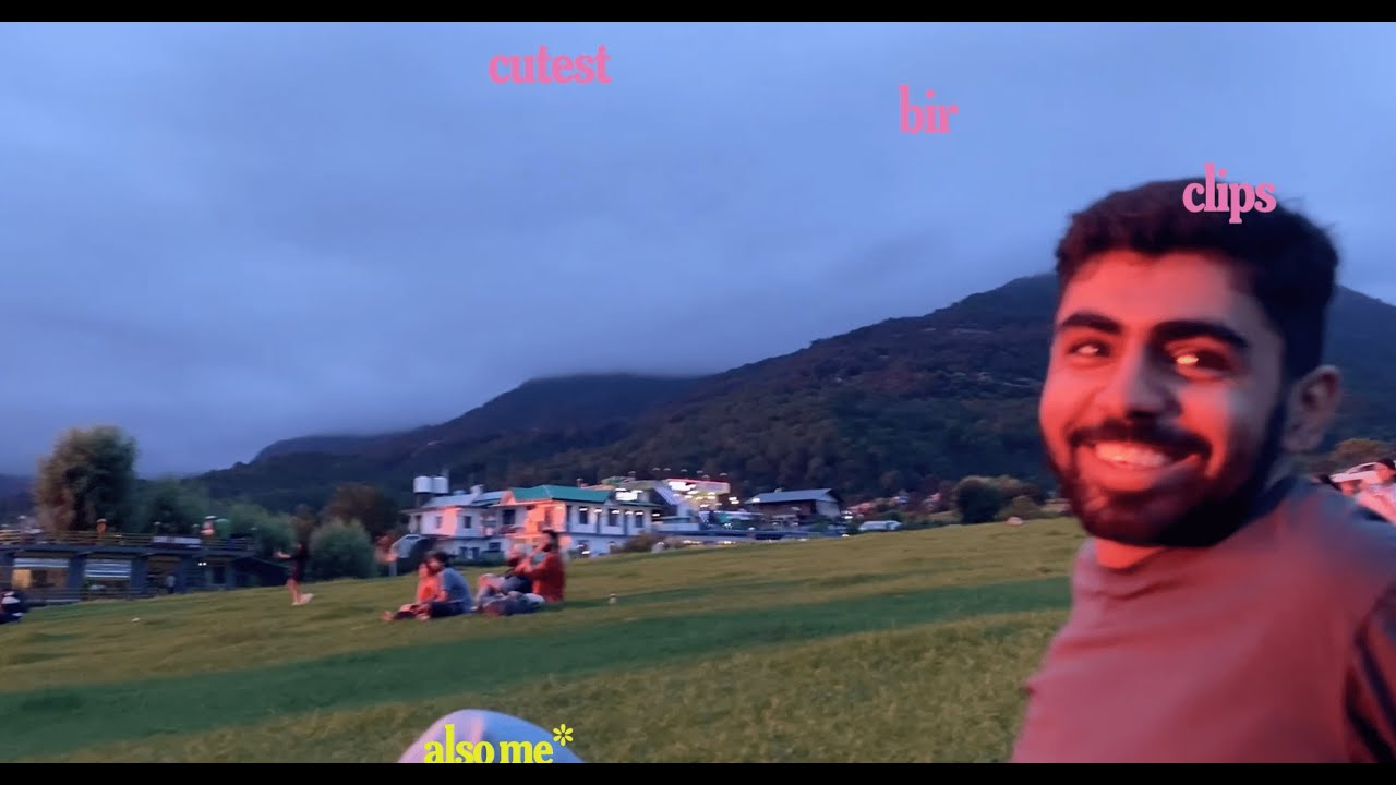 premalu 'insecurities' 20 minute loop
