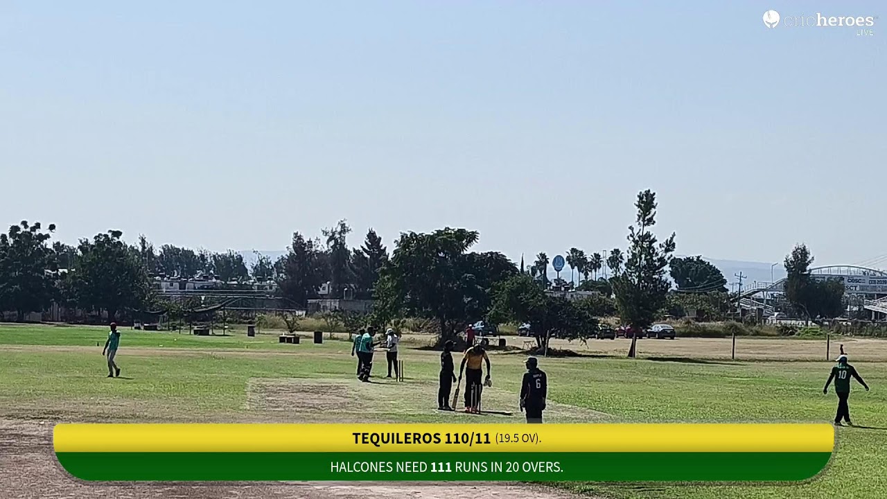 Tequileros vs Halcones Live Cricket Match | Halloween Series Live - TESISTAN Guadalajara