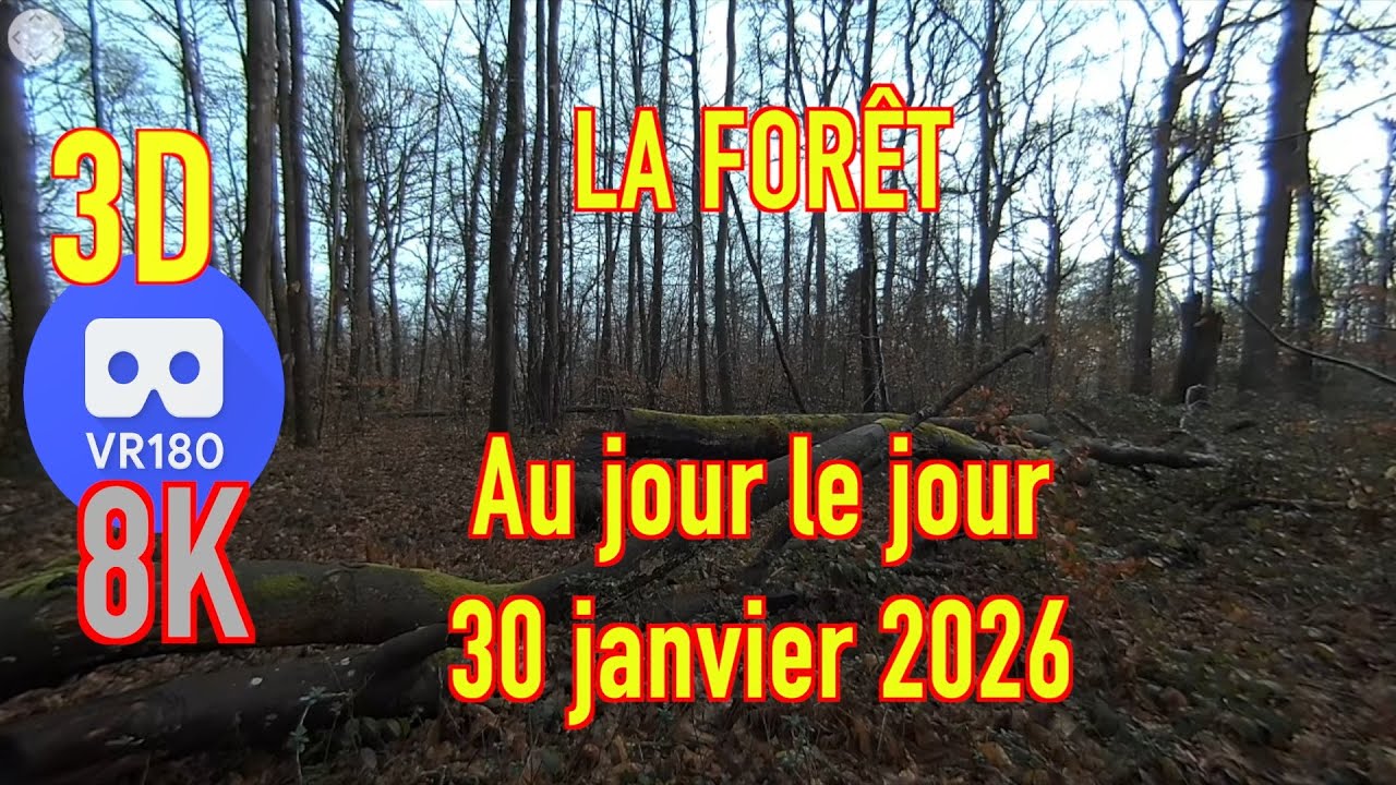 8K - VR180 3D - ALLONNES La forêt au jour le jour - 30 janvier 2026