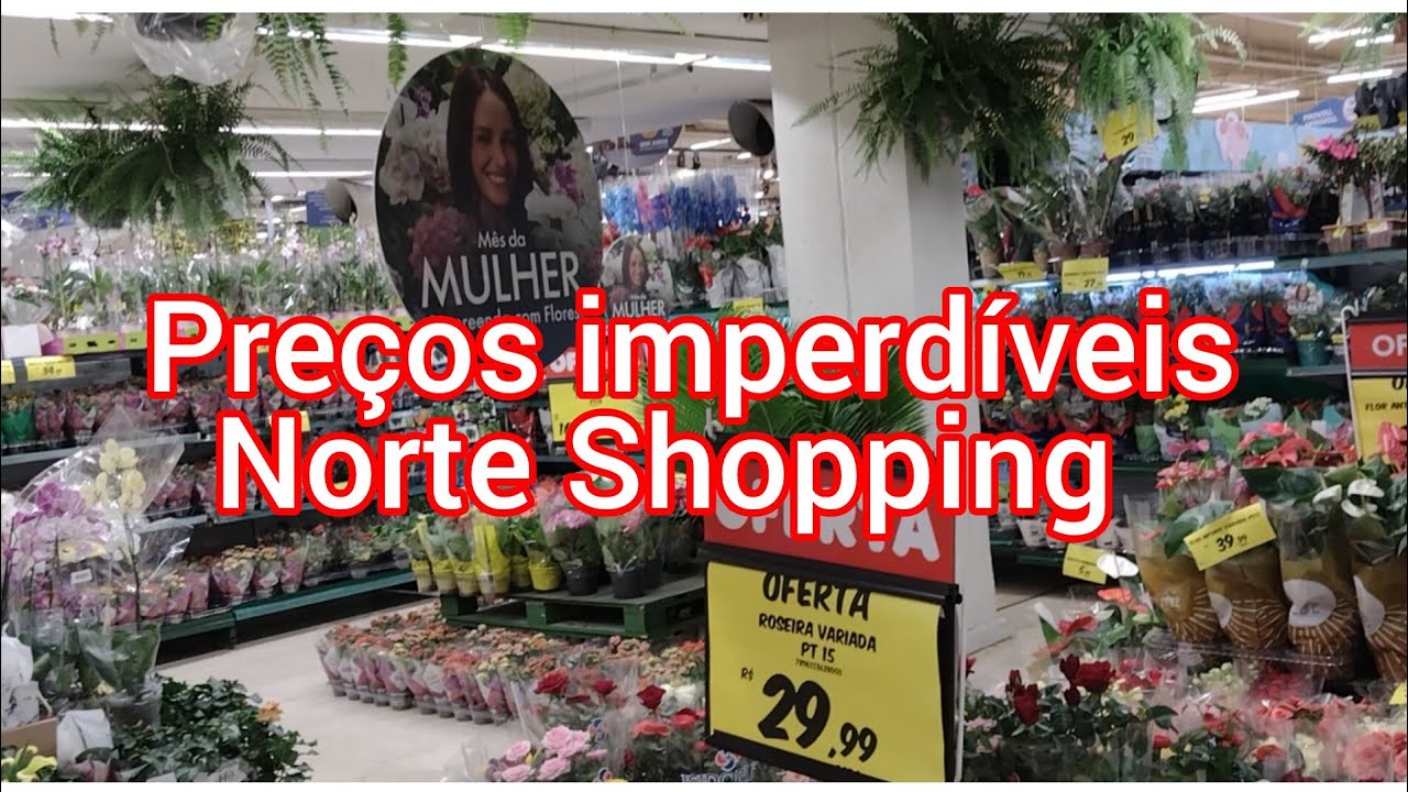 Promoção de plantas no Carrefour!#viralyoutubevideo #viral #plantas #flores#casa #amigos#viralvideo 
