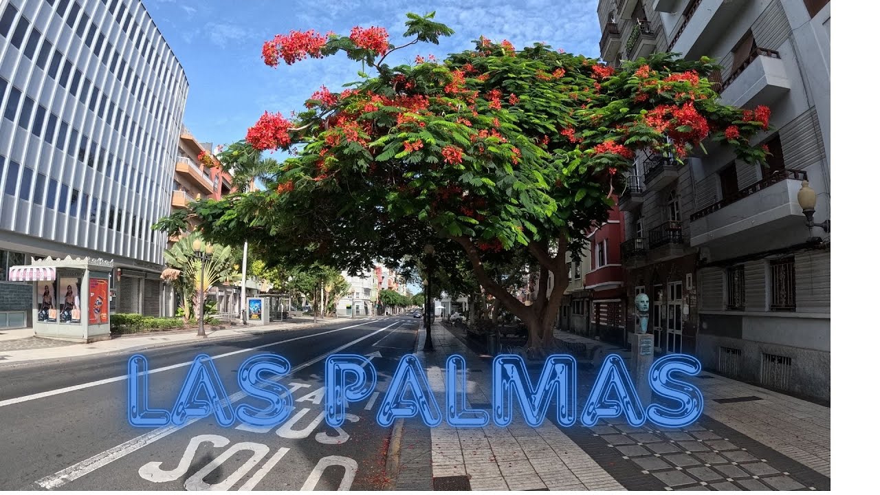 Day Оff in Las Palmas