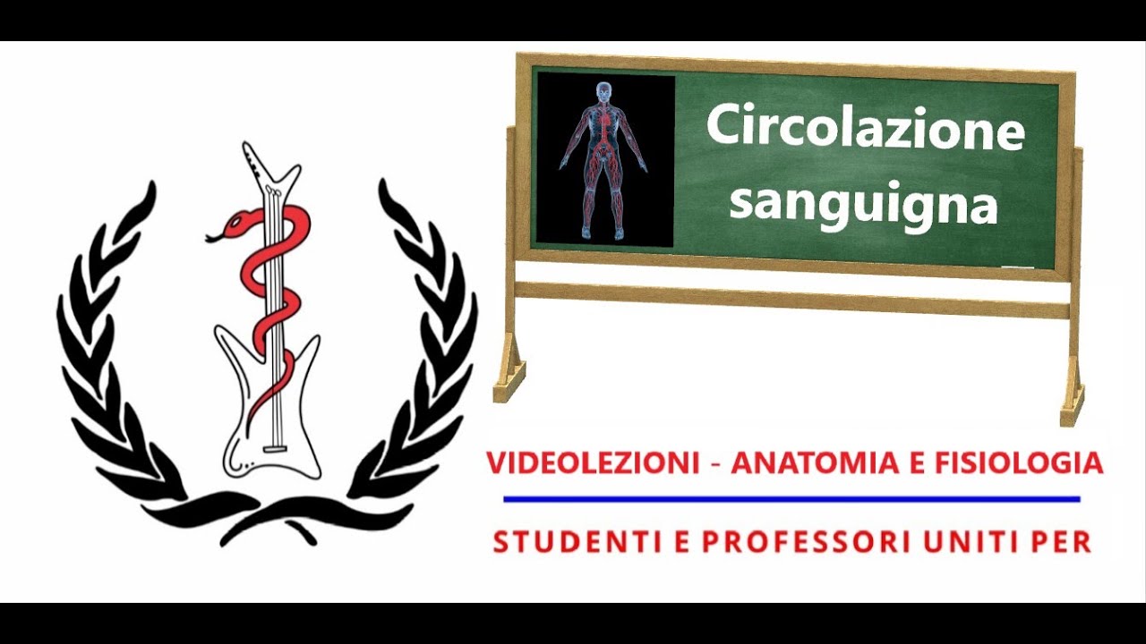 Anatomia e Fisiologia -  Circolazione sanguigna