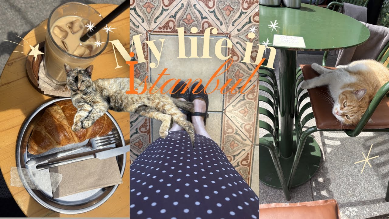     My Life in İstanbul | Slow Days, City Lights & Real Moments