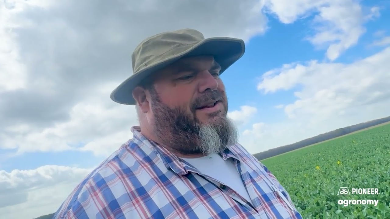 Winter Canola Trial in Mississippi | Can It Work for Double Cropping? | Pioneer Agronomy