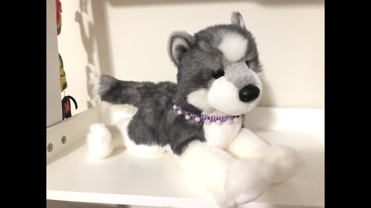 Douglas Cuddle Toy dog: Sasha Husky