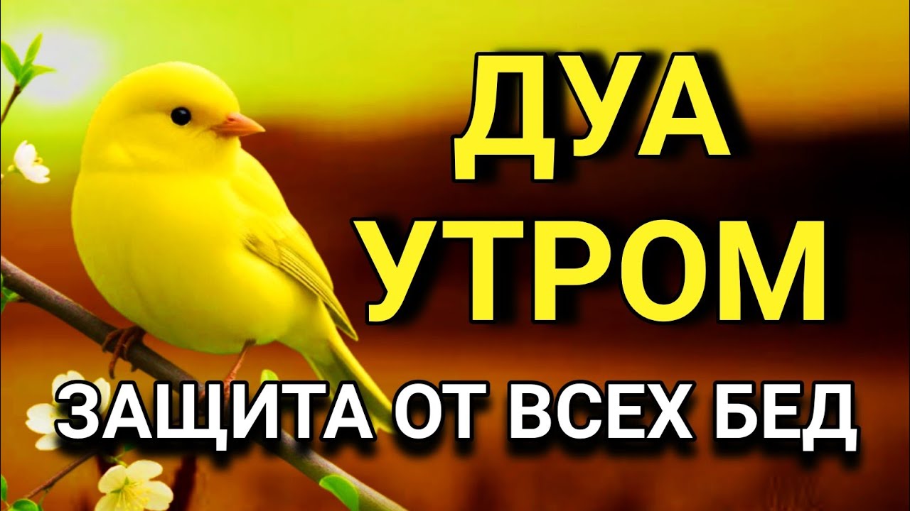 🤲 СИЛЬНЕЙШЕЕ ДУА УТРОМ ОТ ВСЕХ БЕД 🌹🔑💯